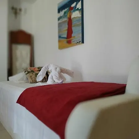 Anatoli Ξενοδοχείο με διαμερίσματα Σχοινούσα